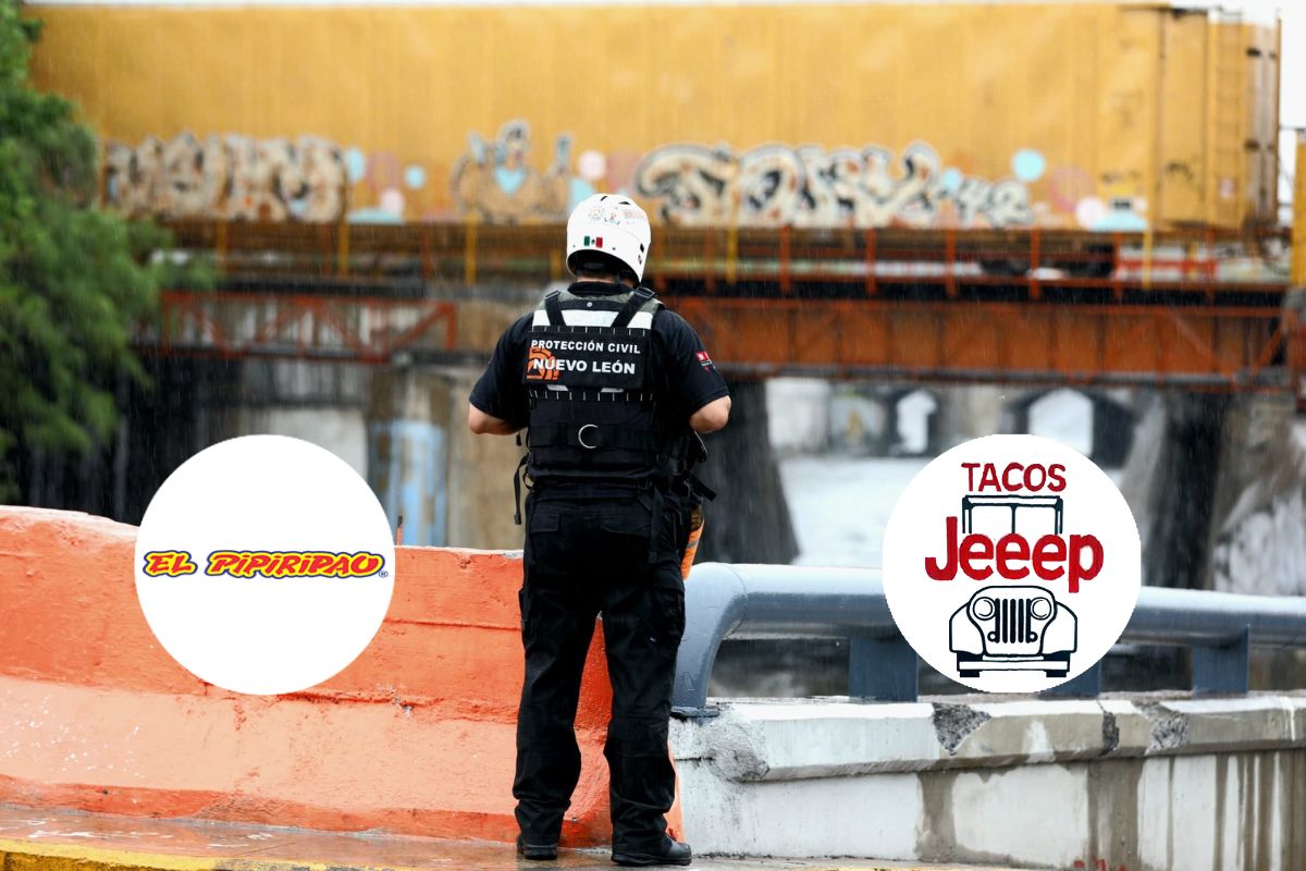 Imagen para WordPress-2