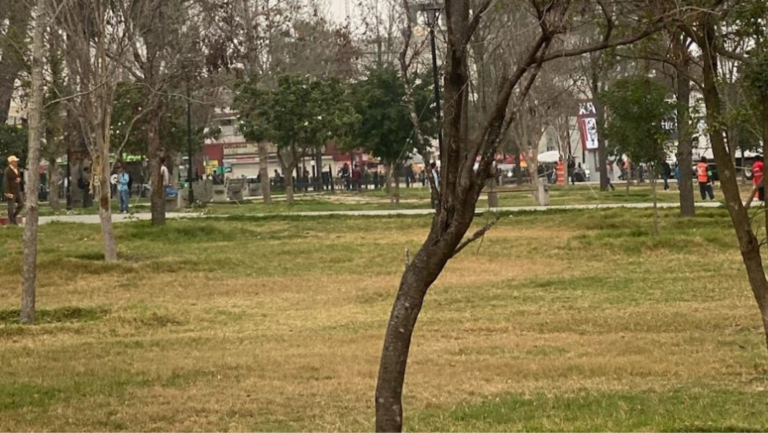 Formato para imagen Nota (6)