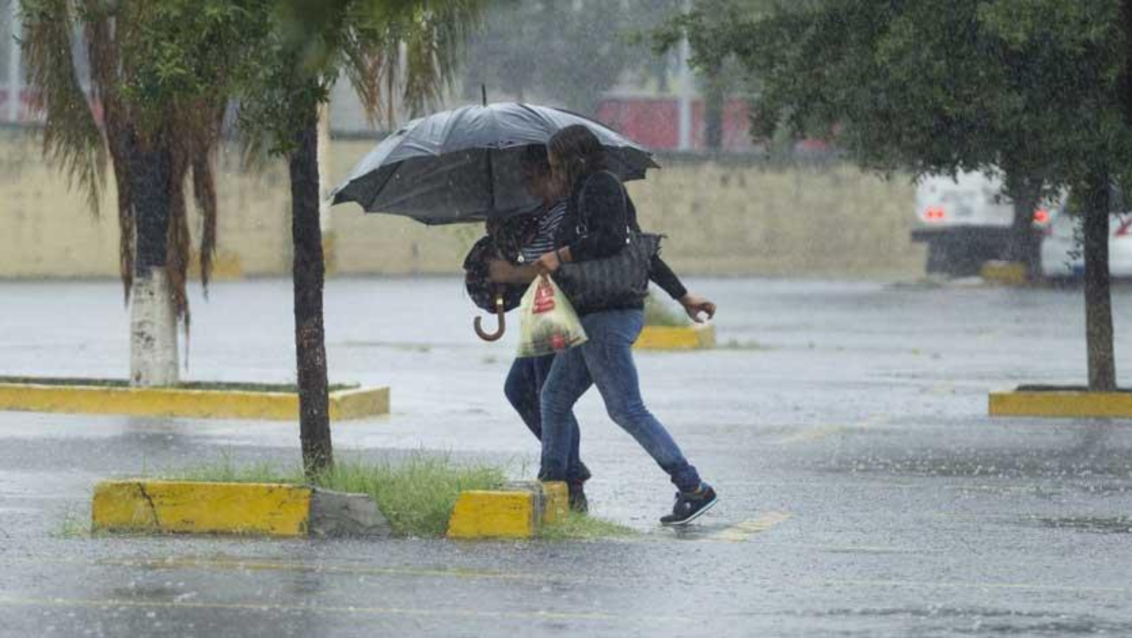 Formato para imagen Nota (14)