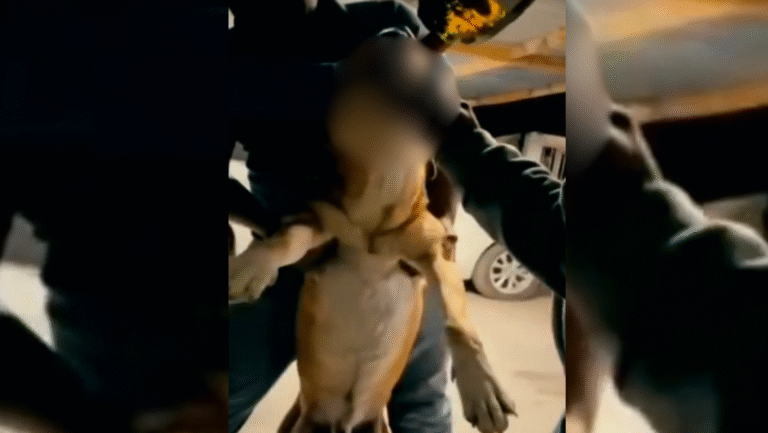 Formato para imagen Nota (3)