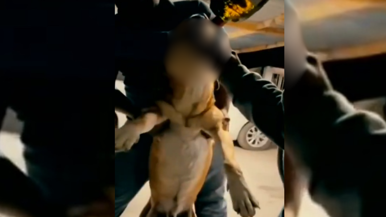 Formato para imagen Nota (3)