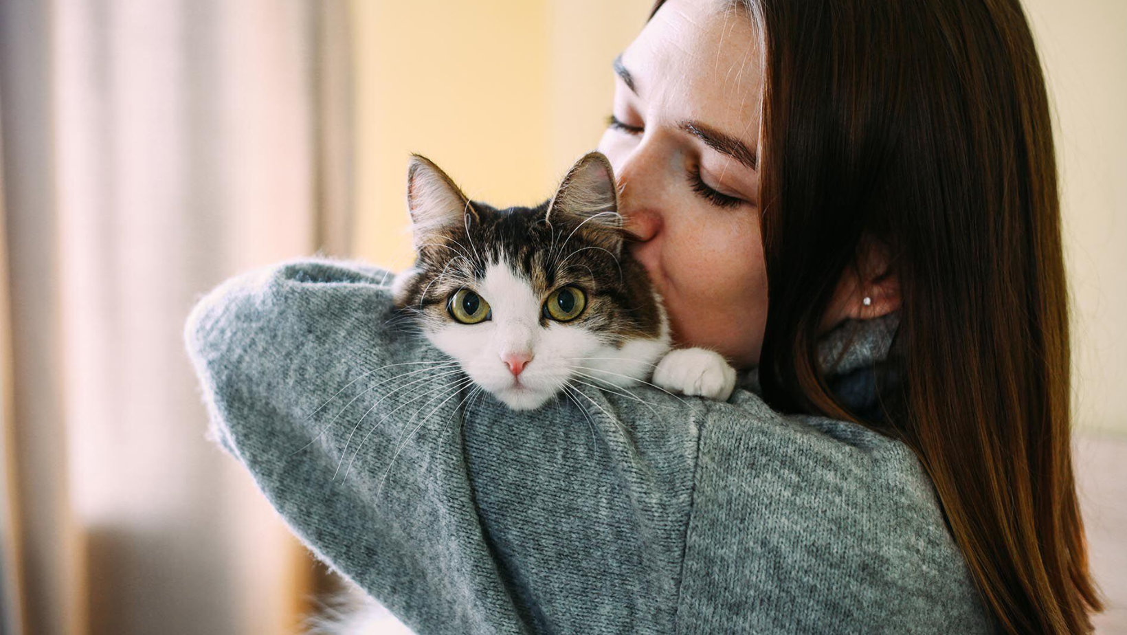 Formato para imagen Nota (6)