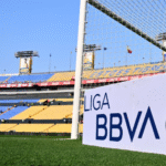 Formato para imagen Nota (16)