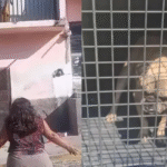 Formato para imagen Nota (2)