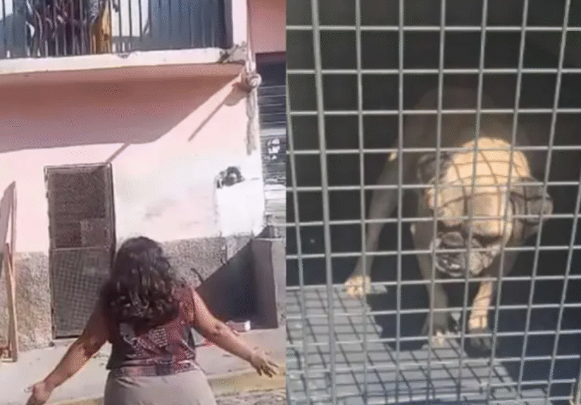 Formato para imagen Nota (2)