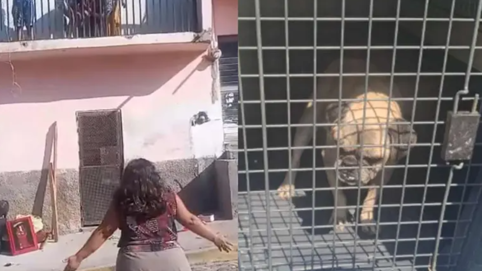 Formato para imagen Nota (2)