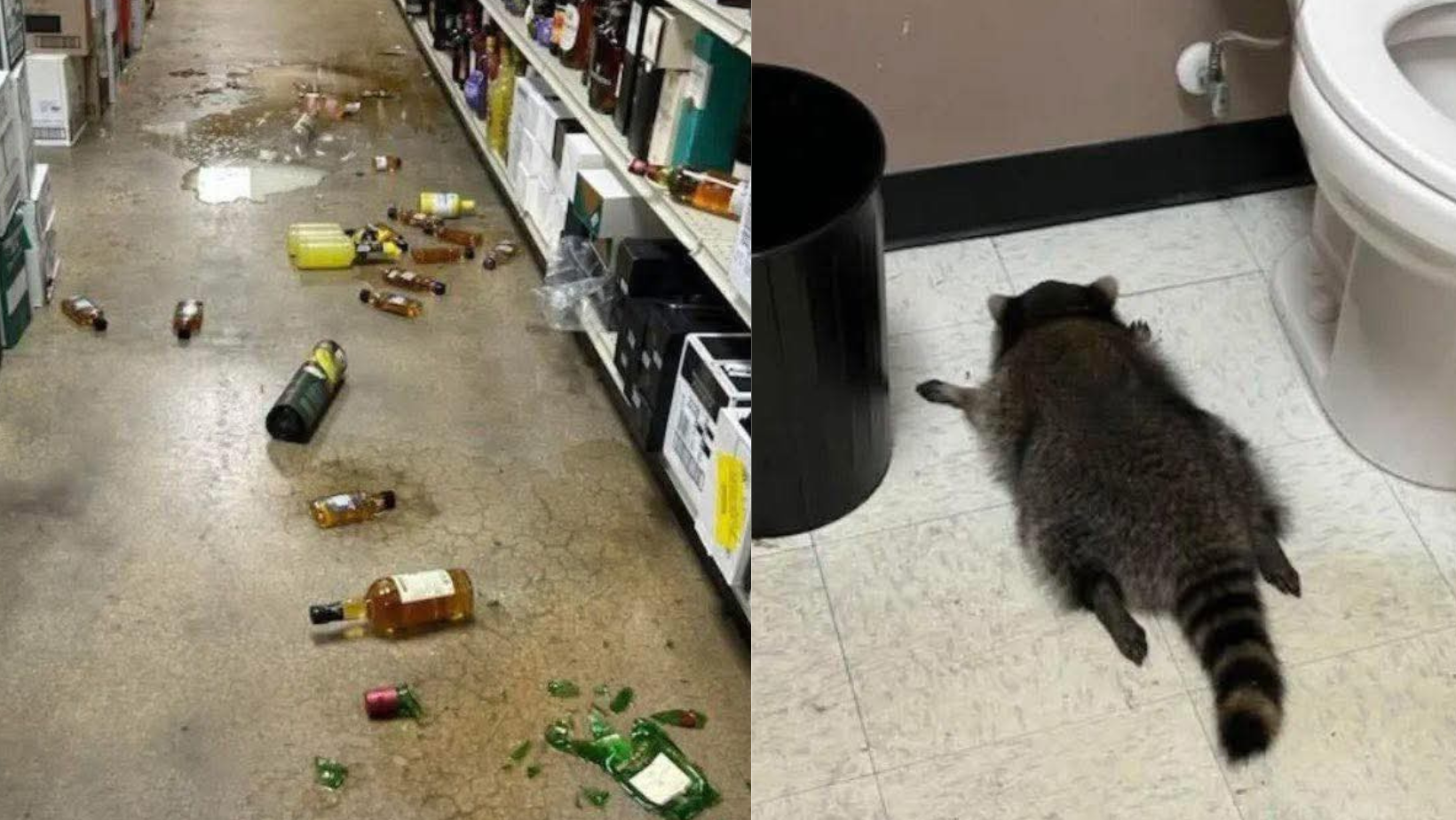 Formato para imagen Nota (1)