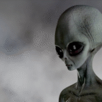 Formato para imagen Nota (13)