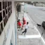 Minaturas YouTube (2)