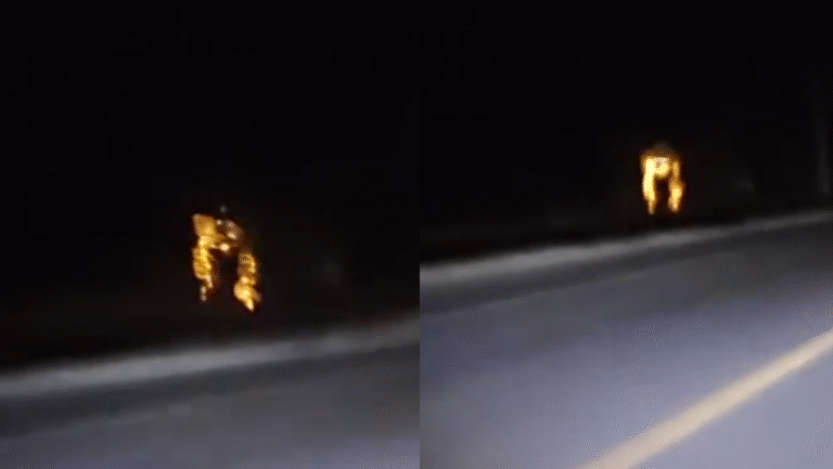 Formato para imagen Nota (12)