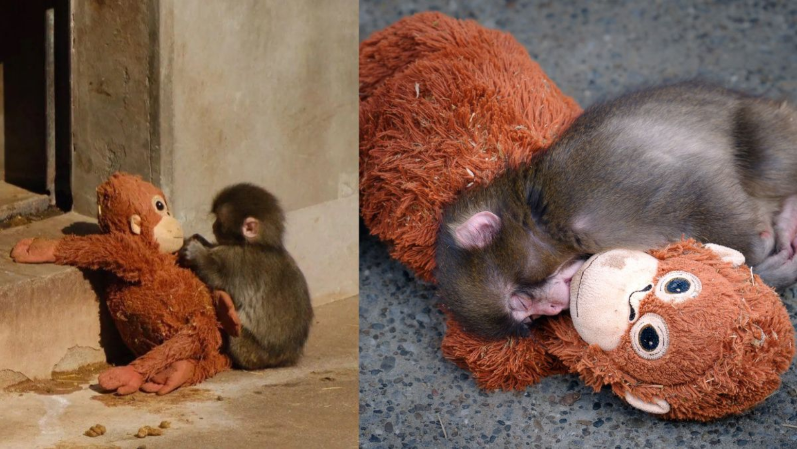 Formato para imagen Nota (1)