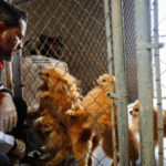 Formato para imagen Nota (7)