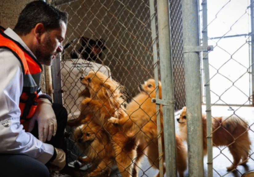 Formato para imagen Nota (7)