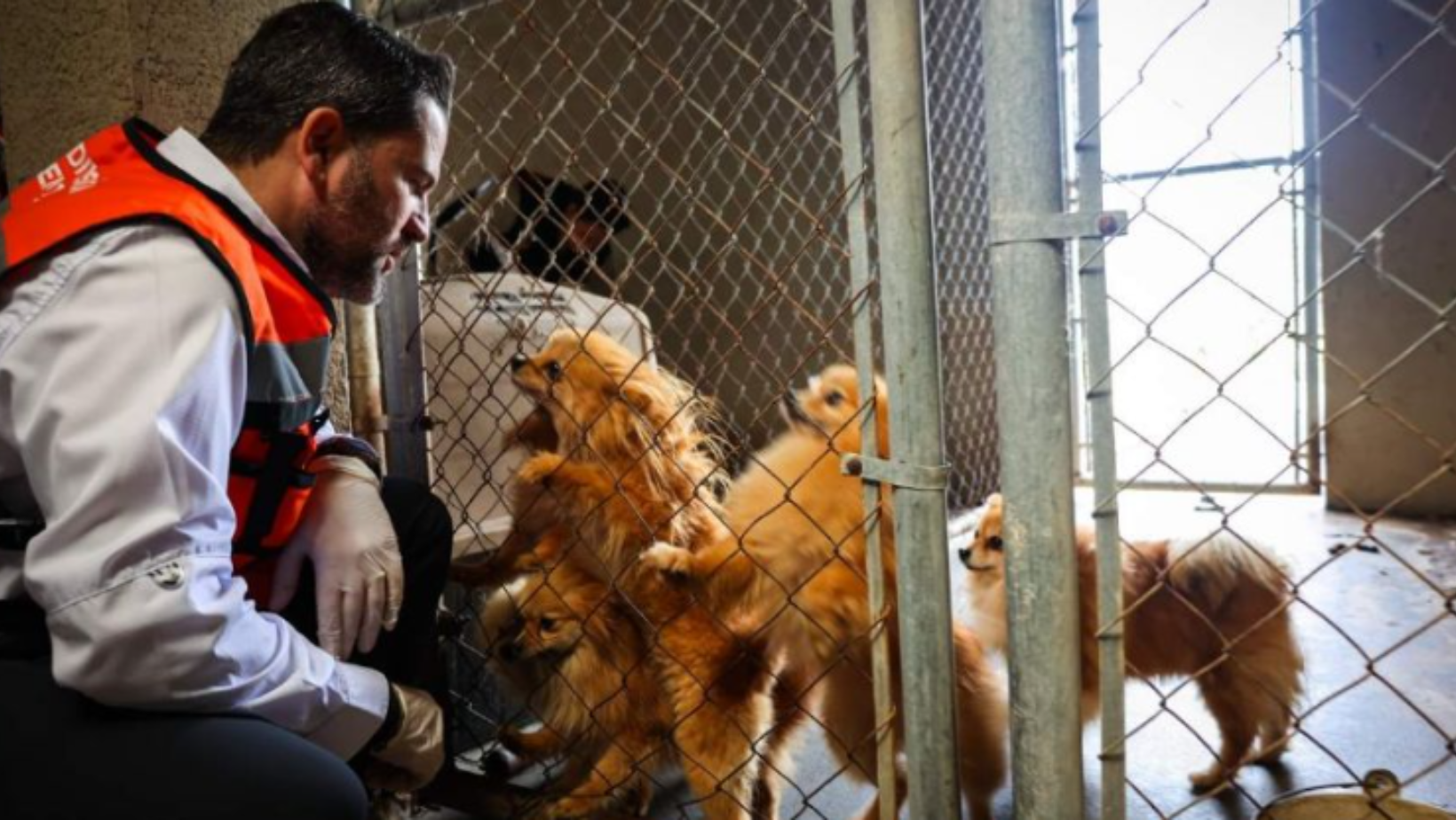 Formato para imagen Nota (7)