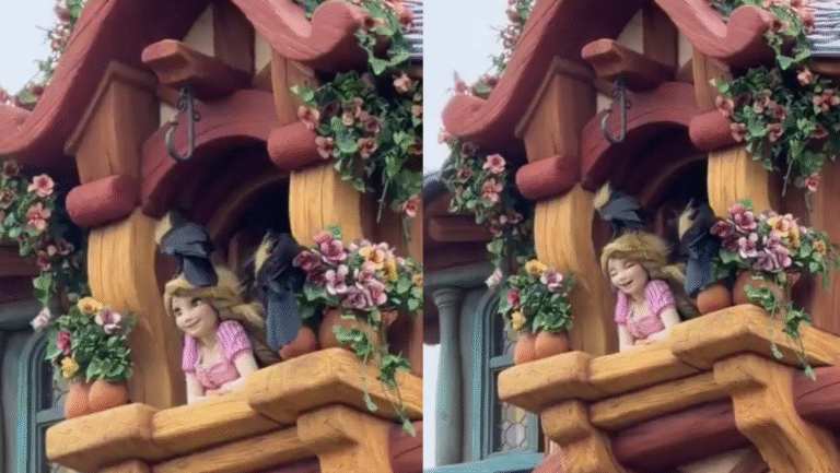 Formato para imagen Nota (15)