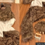 Formato para imagen Nota (22)