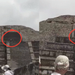 Formato para imagen Nota (24)