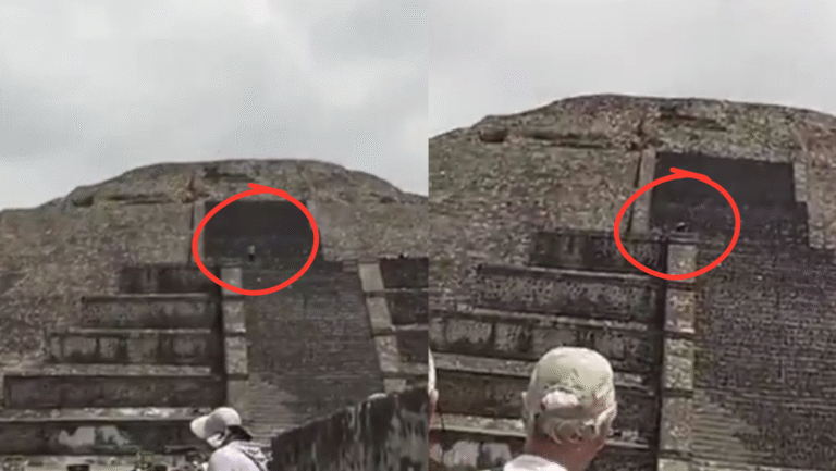 Formato para imagen Nota (24)