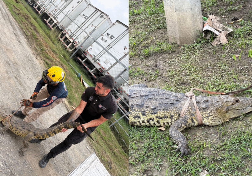 Formato para imagen Nota (7)