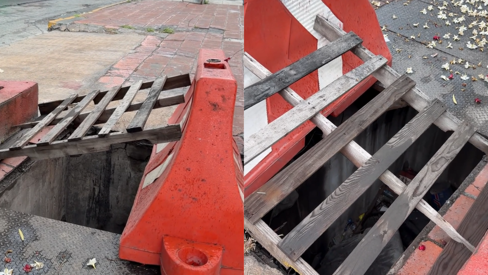 Formato para imagen Nota (7)